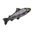 Trout.png