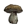 KingdomComeCookedBoletus.png