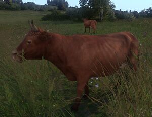 Cow screenshot.jpg