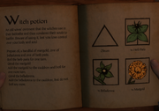 Witch potion Herbarium.png