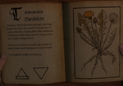 Taraxacum Dandelion Herbarium.png