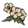 Henbane.png