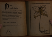 Paris Herb Paris Herbarium.png