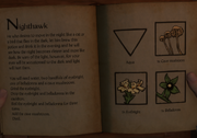 Nighthawk Herbarium.png